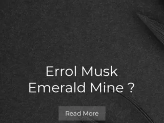 Errol Musk Emerald Mine