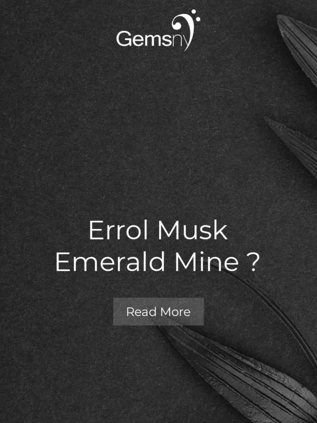 Elon Musk Emerald Mine? Elon Musk Emerald Mine?