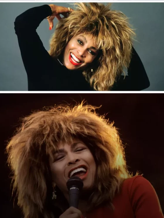 Tina Turner: The Legend Passes Away