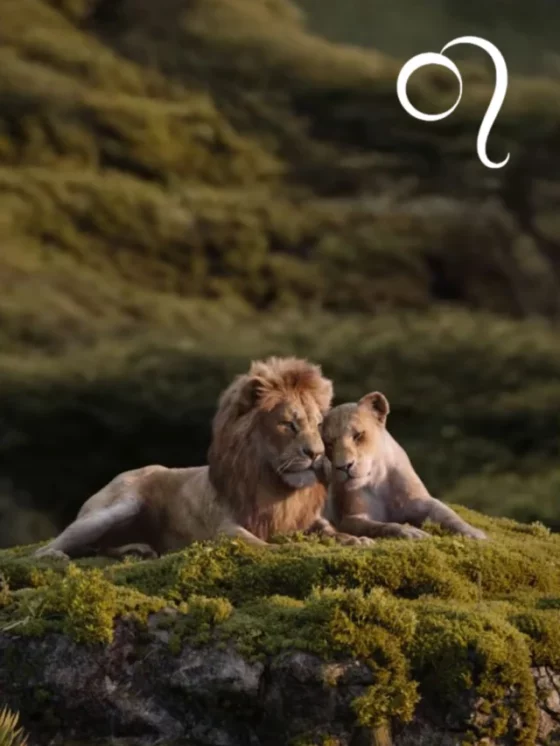 Soulmate & Life Partner for Leo Zodiac Sign