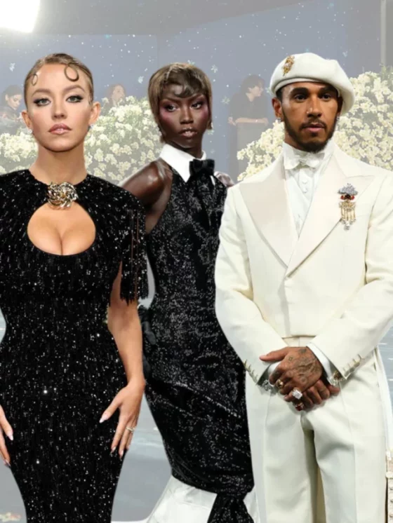 Met Gala 2025: A Glamorous Night of Superfine Style